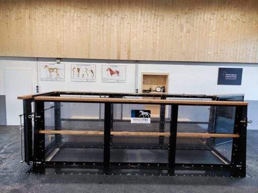 Vier Meter langer Aquatrainer für natürliche vorwärts-abwärts Bewegung des Pferdes