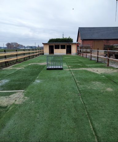 Paddock mit Kunstrasen für Pferde