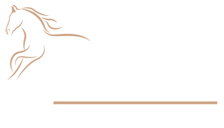 Pferde Reha & Aquatraining