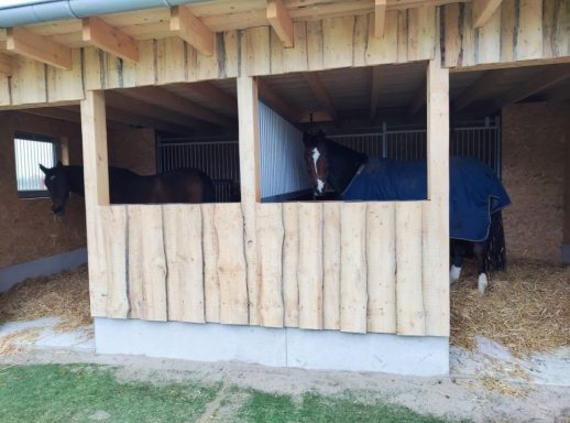 Außenboxen für Pferde