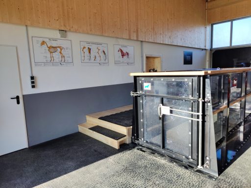 Aquatrainer für Pferde in ruhiger Umgebung