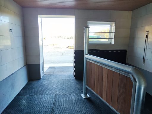 Helle Solekammer für Pferde