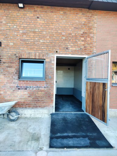 Zugang zur Solekammer für Pferde