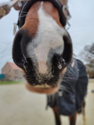 Atemwege befreit durch Soletherapie